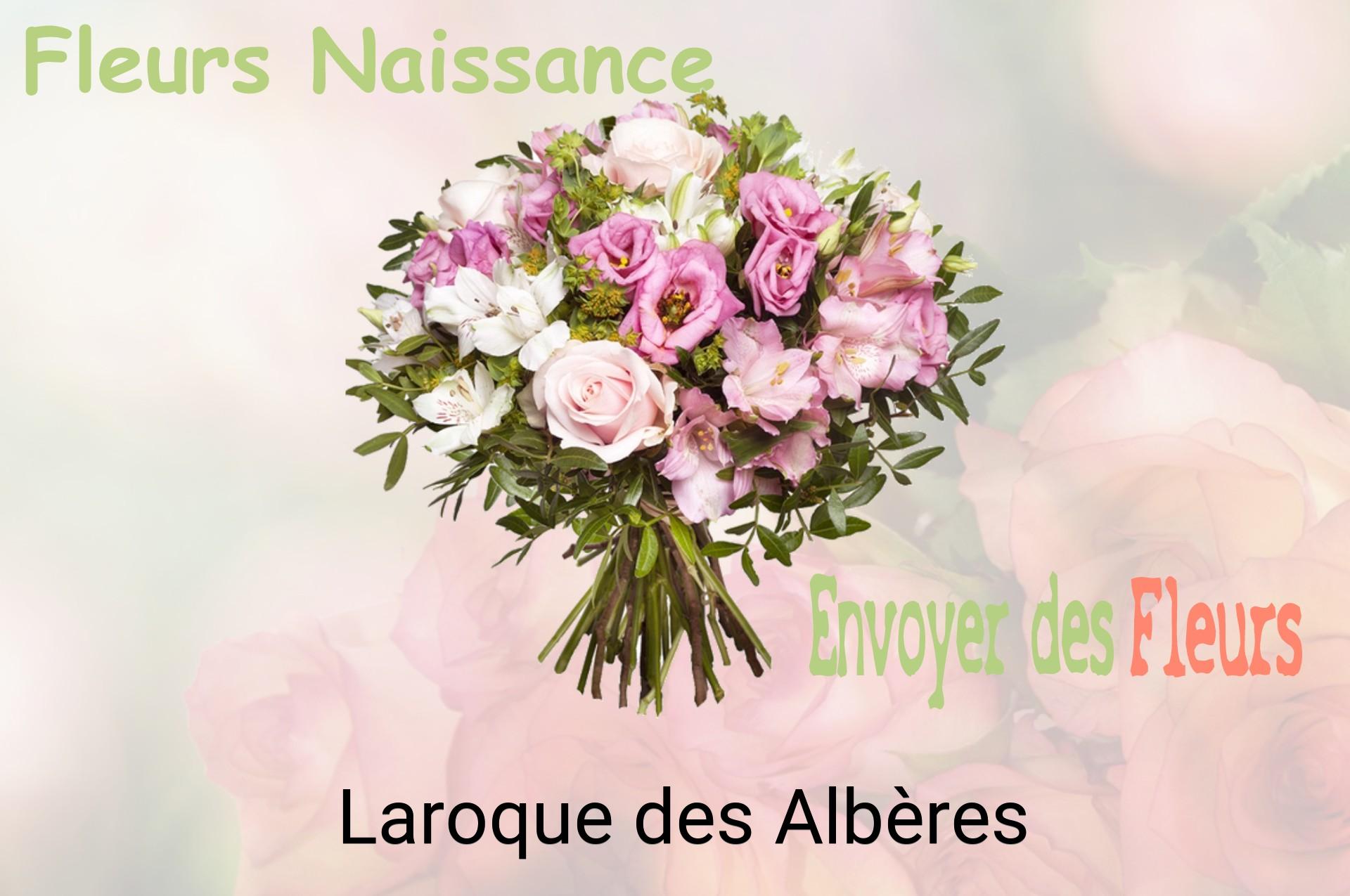 Bouquet de fleurs de naissance livré à Laroque-des-Albères
